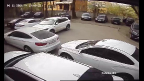 Falling Trees Nearly Crushes Car