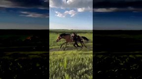 Man grips onto galloping horse