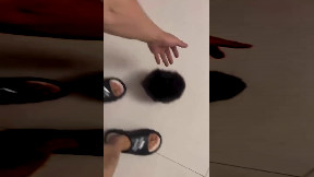 Living ball of wool