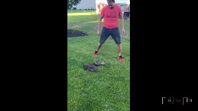 Everyone, including the snake, knew how that was going to end