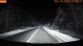 Close call with a moose's