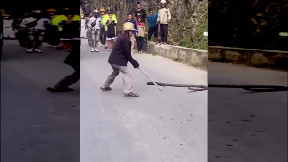 Professional snake handler