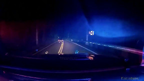 Thurston County Sheriff's released dashcam of their deputies using a Grappler on a fleeing suspect