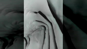 Inside Shark Mouth