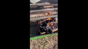 The best barbecue you've ever seen
