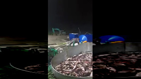 Fish inspector