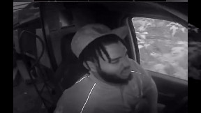 FedEx driver hits hornets nest while doing delivery