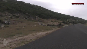 Cyclists getting chased by an ostrich