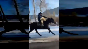 Full gallop ahead