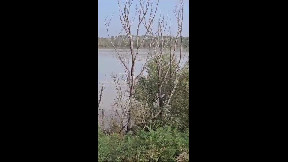FLOOD of the Italian big river, the Po (652 km lenght)