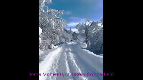 Some Moments of snowy Switzerland