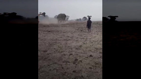 Wild elephant chases tractor in India