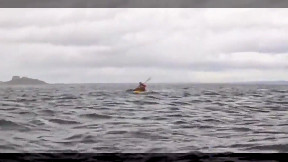 Kayaker Swallowed By Humpback Whale