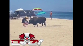Bull Attacks Tourist on the Beach in Mexico