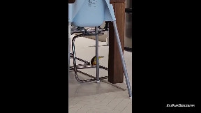 The parrot went through the videos