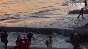 Incoming Tide