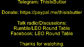 An elderly, blind, and deaf dog fell into a canal but was swiftly rescued by Clearwater officer