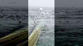 Fishing on an industrial scale ..