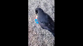 At that moment_he was just like a prince from a fairy tale