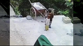 Teamwork between brothers