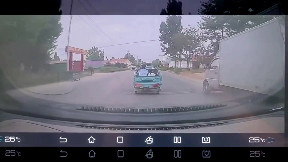 Runaway horse runs into oncoming car