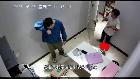 Raging cat attacks the vet
