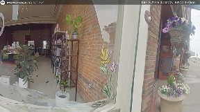 Body cam shows Keokuk Police responding to deer break-in at hair salon