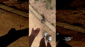 Woman gets bit by a squirrel