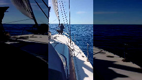 Cetacei nel mare della Puglia. Nuovo avvistamento di capodoglio nel golfo di Taranto