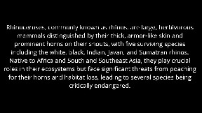 Rhinoceros
