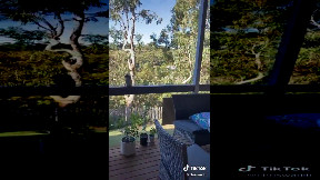 Do Kookaburras like pasta ?