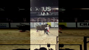 The Bull Wins