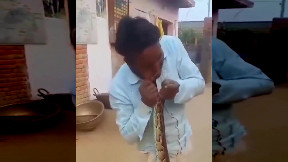 Not with the python...