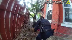Kangaroo 'repeat offender' trespasses into neighbor's backyard months after police chase
