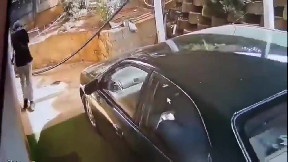 Robber Meets a Dogs