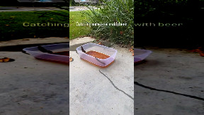 Slug Trap