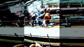 Dude, don't touch the cattle!