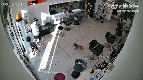 Faulty hairdryer causes shock