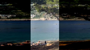 Balena di 70 tonnellate all’improvviso appare a pochi metri dalla spiaggia in Croazia