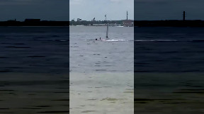 Attacco di squalo a Panama: dipendente della base navale in condizioni critiche dopo essere stato attaccato da uno squalo