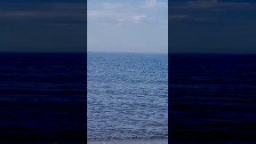 Lido di Latina, nel mare calmo spunta una pinna