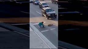 Anatra e i suoi anatroccoli messi in salvo mentre attraversano la strada tra le auto in corsa grazie alla prontezza di una ragazza