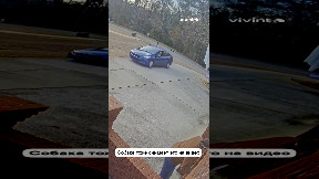 Forgot handbrake