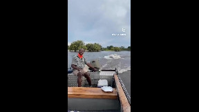 Just an ordinary day in Africa. The speed of the hippo is amazing
