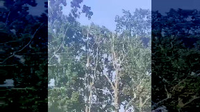 Missiles flying over Ukraine