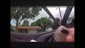 Good Ol' Boy Gets a Ticket. And Then Some.