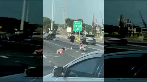Video mostra due bimbi in pannolini su un'autostrada degli Stati Uniti dopo essere stati sbalzati fuori dall'auto dopo un incidente