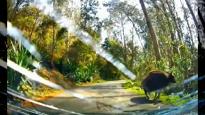 Start recording emergency video