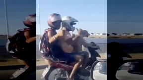 Biker Dog