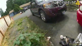 Assault suspect arrested with help from Snohomish County K9 Knox when he fled on foot